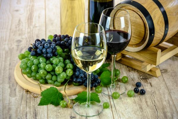 The Zalaba winery invites you to wine tasting in the cellar